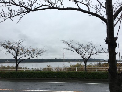 曇天模様 手賀沼