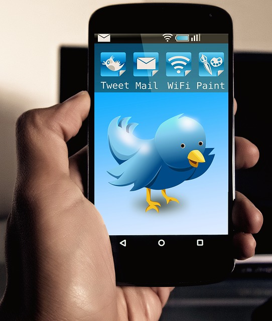 ユーザー数の伸び悩みに苦しむtwitter Googleリアルタイム検索復活で再起へ ネットメディア研究所 Snsの専門家落合正和公式blog ユーザー数の伸び悩みに苦しむtwitter Googleリアルタイム検索復活で再起へ ネットメディア研究所 Snsの専門家落合正和公式blog