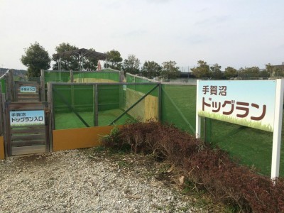 手賀沼まるかじりツアー 手賀沼フィッシングセンター